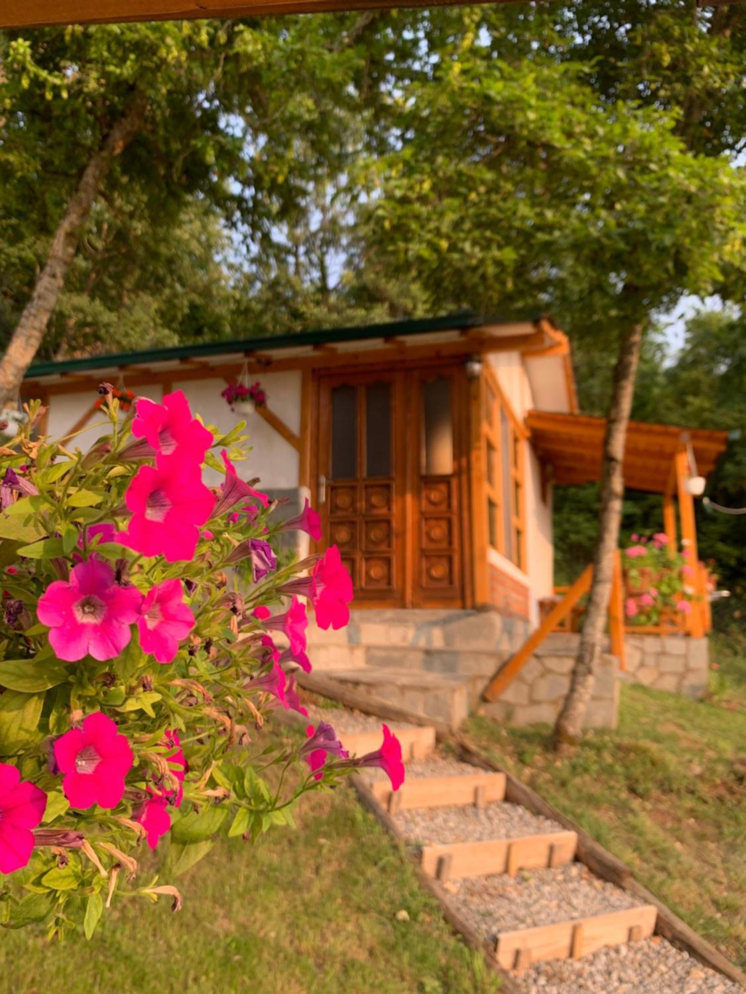 Sunset House Apartment Ohrid Luaran gambar